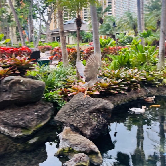 Meet your Posher, Victoria - Picture 4 of 9